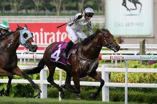 Karaka Graduate Alibi claims the Listed Stewards’ Cup at Kranji. Photo: Singapore Turf Club.